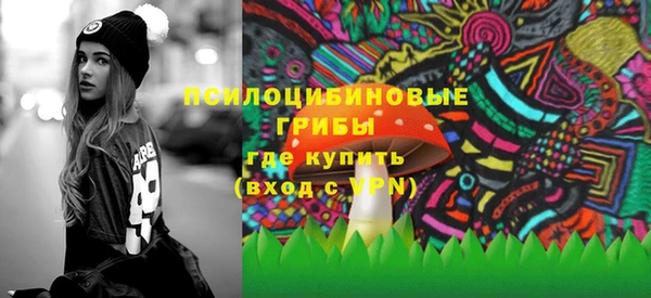 тгк Балахна