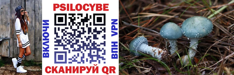 Галлюциногенные грибы Psilocybine cubensis  KRAKEN сайт  Уржум 